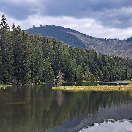 Osserapartment Διαμέρισμα Schwarzenbach (Cham)